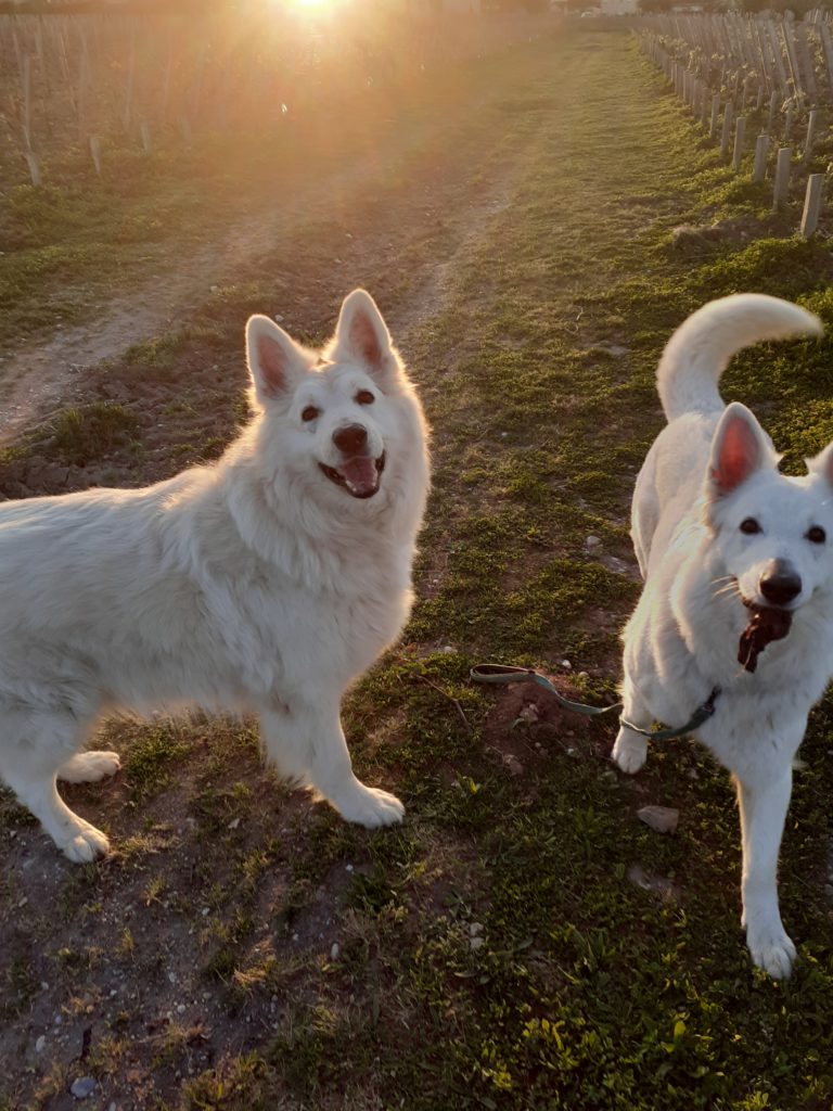 Naru et Nymeria